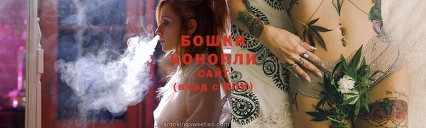 МДПВ Вяземский