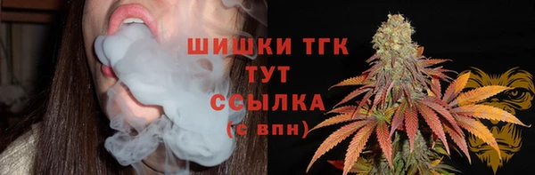 шишки Вязники