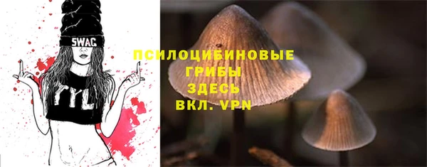 spice Волоколамск