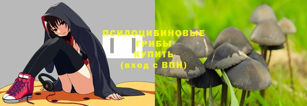 первитин Вязьма