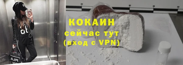 шишки Вязники