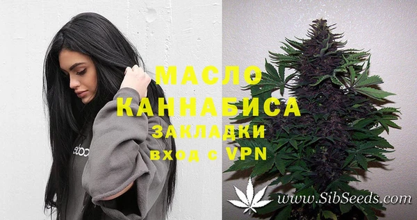 индика Володарск