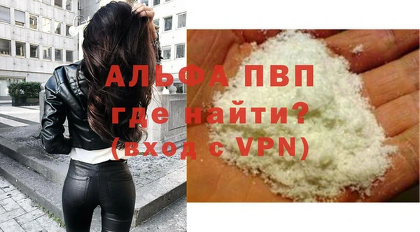 индика Володарск