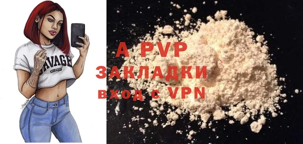 индика Володарск