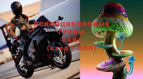 индика Володарск