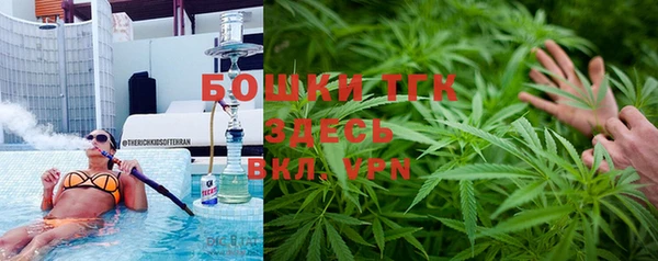 МДПВ Вяземский