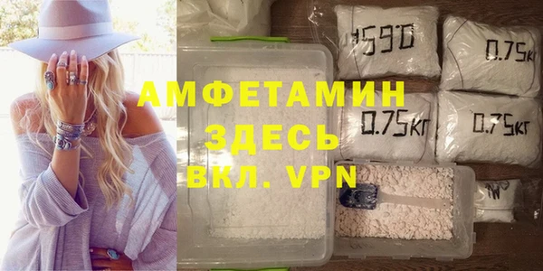 индика Володарск
