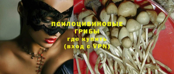 индика Володарск