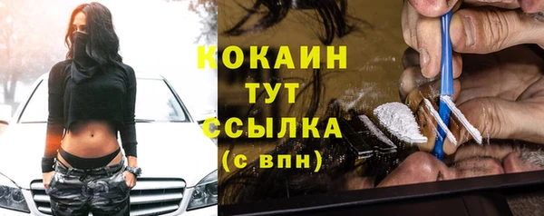индика Володарск