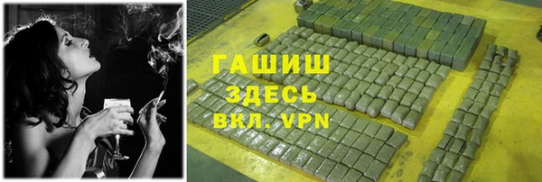 индика Володарск