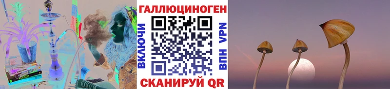 где можно купить наркотик  Зерноград  Галлюциногенные грибы ЛСД 